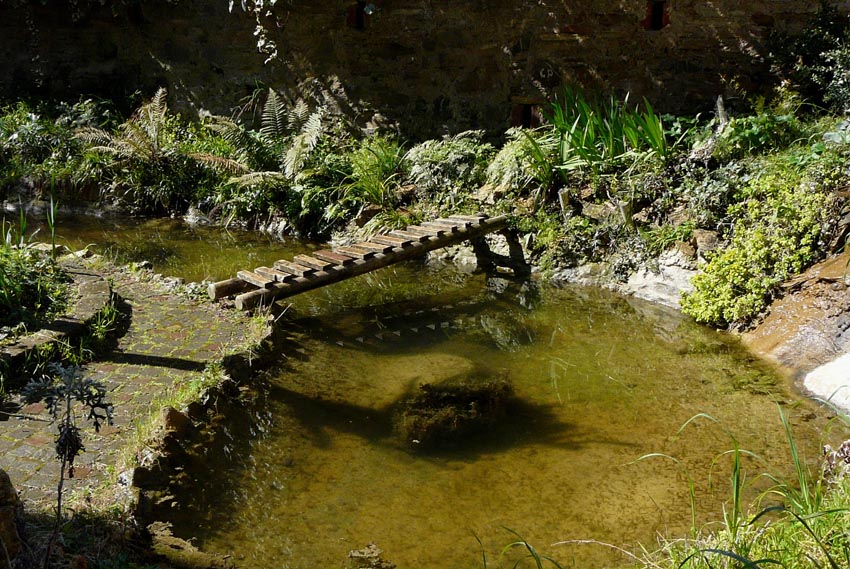 Il Laghetto del Centro di Entomologia - Piombino (LI)